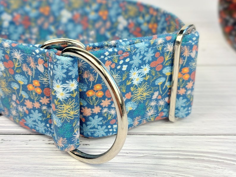 May include: A blue and white floral dog collar with a silver D-ring.