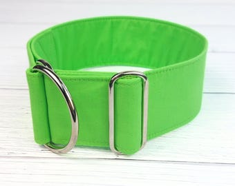 May include: A bright green dog collar with a silver buckle and D-ring.