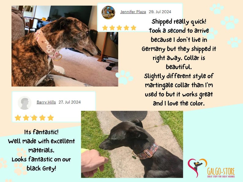 May include: A brindle dog wearing a light pink floral patterned martingale collar and a black dog wearing a dark patterned martingale collar. The image includes customer reviews and the text Galgo-Store Great stuff for great hounds.