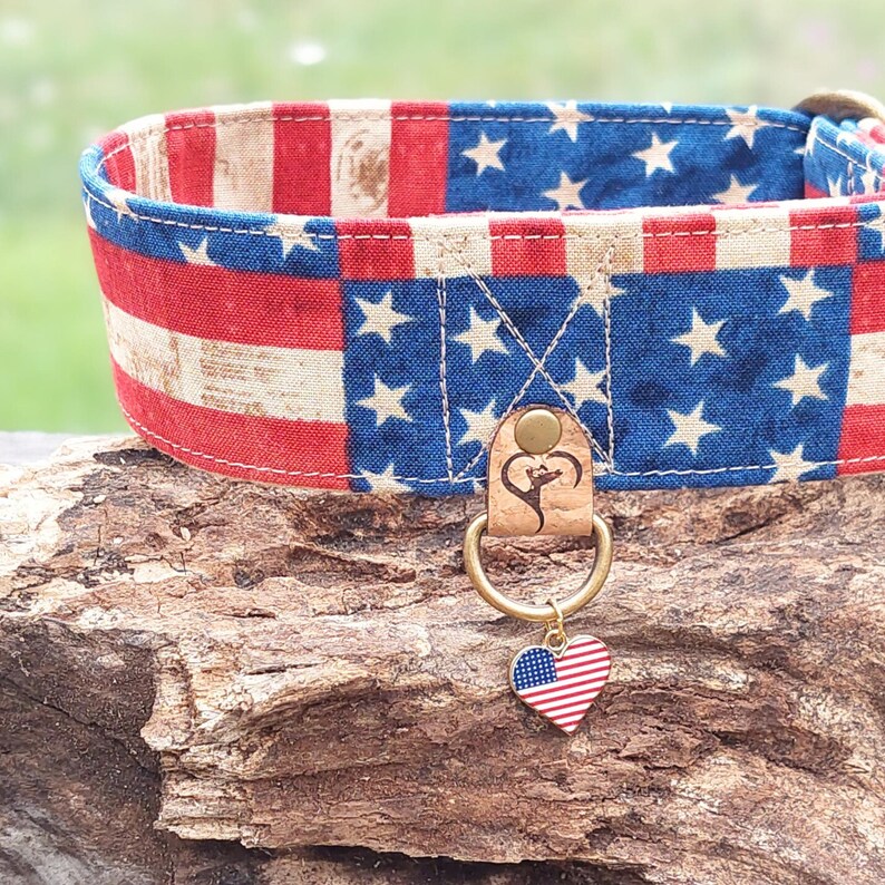May include: A patriotic dog collar featuring a design inspired by the American flag. The collar has a blue field with white stars and red and white stripes. It includes a leather tag and a heart-shaped charm with the American flag design.