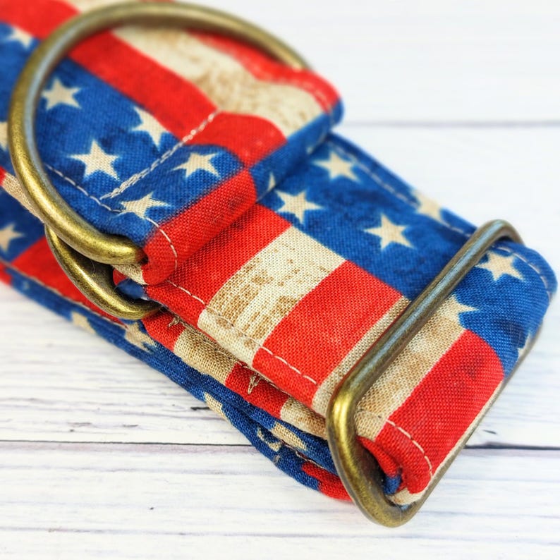 May include: Close-up of a dog collar featuring a patriotic American flag design. The collar is made of fabric with red and white stripes and blue sections with white stars. It has brass-colored metal hardware.