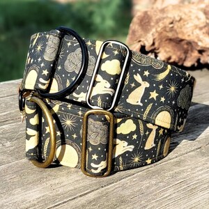 Brett svart hundhalsband, kanin martingale-stil, stryphalsband eller med tryckknappsspänne, greyhound-halsband, whippet-halsband / hare bild 11