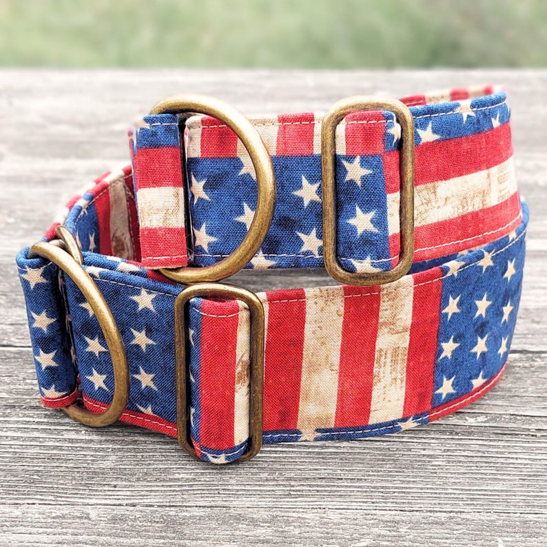 May include: A patriotic dog collar featuring a distressed American flag design with red and white stripes and blue star-studded sections. The collar has brass-colored metal hardware.