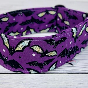 May include: A purple fabric pet collar featuring a repeating pattern of black bats with pale yellow and green wings, accented by small white stars. The collar includes a black metal D-ring and a black plastic buckle closure for secure fastening.
