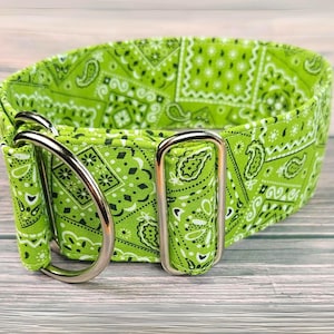 May include: Green and white bandana print dog collar with silver hardware.