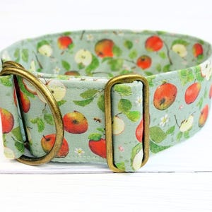 May include: A light green dog collar with a pattern of red and yellow apples and green leaves. The collar has two brass D-rings.