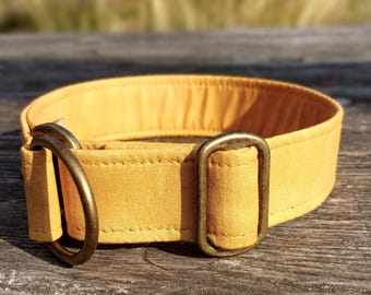 dog collar mustard, fabric greyhound collar, yellow martingale collar or buckle, whippet collar / mustard