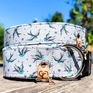 dog collar with birds, tattoo swallows, grey fabric dog collar, limited slip martingale or buckle collar, greyhound / swallow