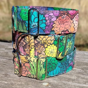 May include: Three stacked dog collars with a vibrant succulent pattern in shades of teal, purple, pink, yellow, and green. Each collar has a silver metal buckle and D-ring. The collars are made of a sturdy fabric.