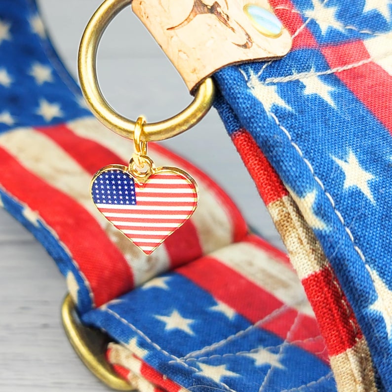 May include: A patriotic dog collar featuring a red, white, and blue American flag design. The collar has a gold-colored metal ring and a heart-shaped charm with the US flag. The collar is made of fabric and leather.