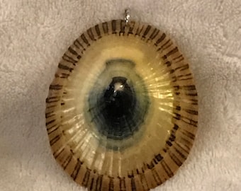 Vintage Limpet Shell Snail sealed necklace drop Shelling Pendant