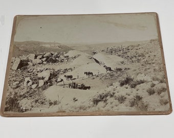 Rare Early Southern California Settlers Horses Large format Infrastructure photo