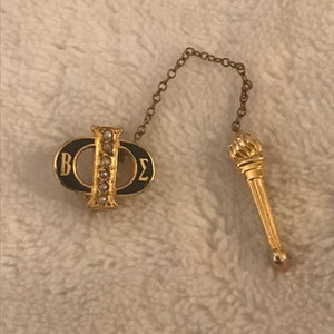 Vintage Phi Beta Epsilon MIT fraternity sweater lapel Pinback Button
