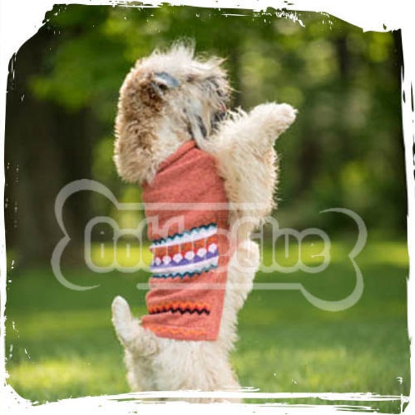 Dog Sweater - "Gallowitz" made of Alpaca wool