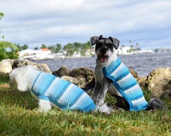 Dog Sweater - "Bobbie Amalfi" A royal piece in alpaca wool