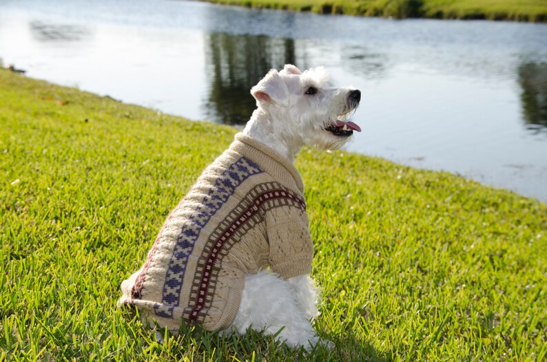 Dog Sweater Illary with Isle stripes and lace made of Alpaca Wool image 5