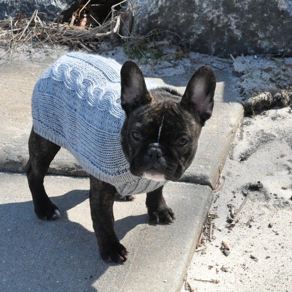 Dog sweater - "cable" made of Alpaca wool