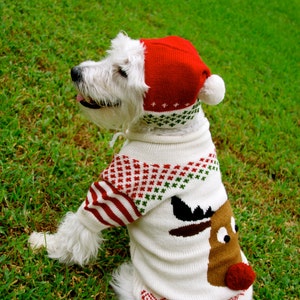 Dog Sweater Rudy Christmas Sweater in Alpaca wool image 3