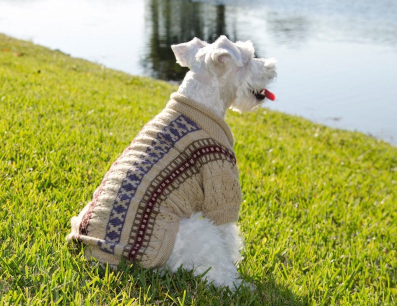 Dog Sweater Illary with Isle stripes and lace made of Alpaca Wool image 1