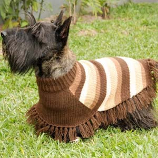 Dogs Poncho "Willka"