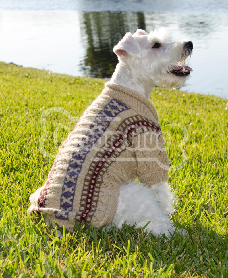 Dog Sweater Illary with Isle stripes and lace made of Alpaca Wool image 2