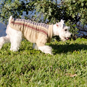 Dog Sweater Illary with Isle stripes and lace made of Alpaca Wool image 3