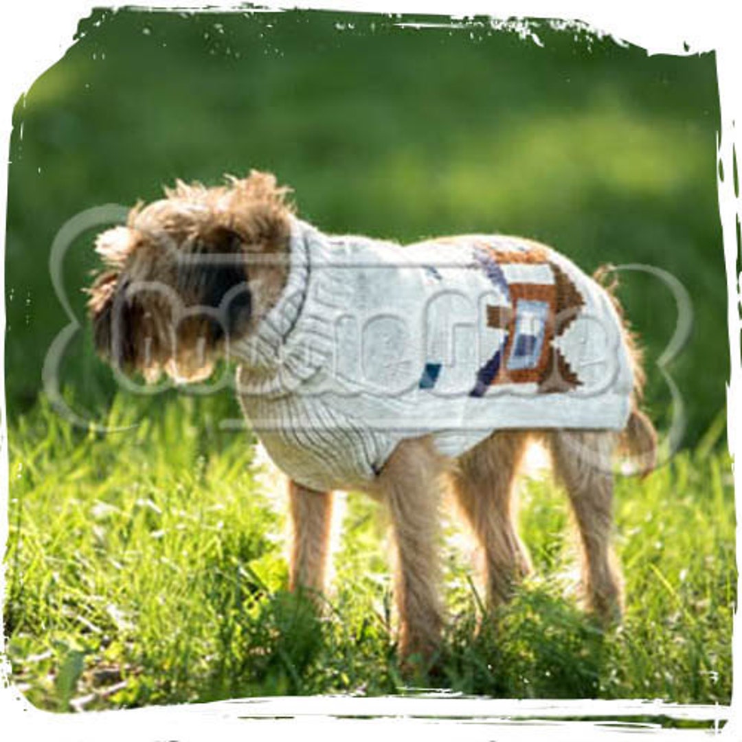 Dog Sweater limonges a Dog Sweater Made of Alpacca Wool for Your Furry
