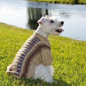 Dog Sweater Illary with Isle stripes and lace made of Alpaca Wool image 4