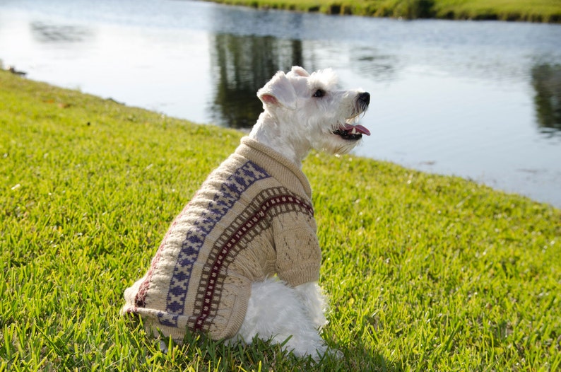 Dog Sweater Illary with Isle stripes and lace made of Alpaca Wool image 4