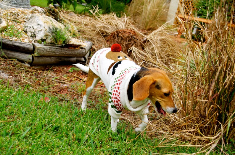 Dog Sweater Rudy Christmas Sweater in Alpaca wool image 4