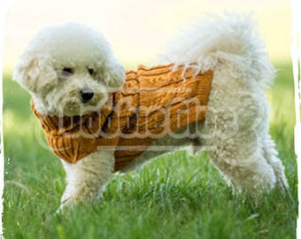 Dog Sweater - "Lucuma" - a yellow-orange warm dog sweater made of Alpaca Wool