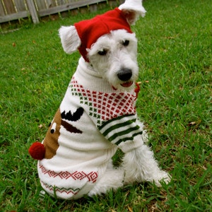 Dog Sweater Rudy Christmas Sweater in Alpaca wool image 1