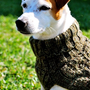 Dog sweater made of Alpaca Wool for your Big baby - "Pichasqa Sweater"