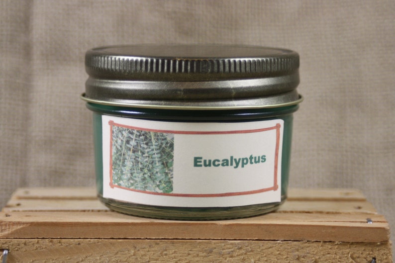 Eucalyptus Scent Candles and Wax Melts Herb Scented Candle Etsy