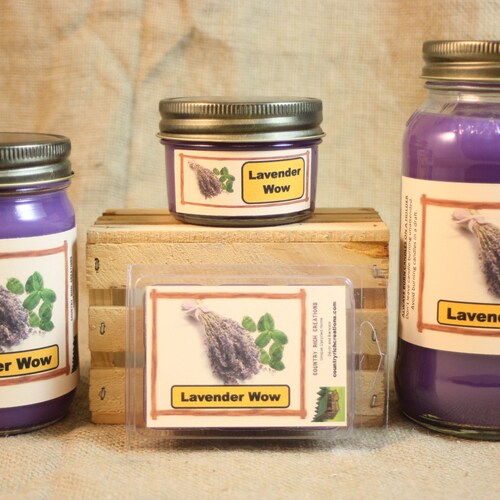 Fresh Cantaloupe Candles and Wax Melts Highly Scented Fruit Etsy