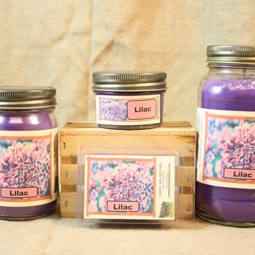 Cucumber Melon Candle Scented Candles and Wax Melts Highly Etsy