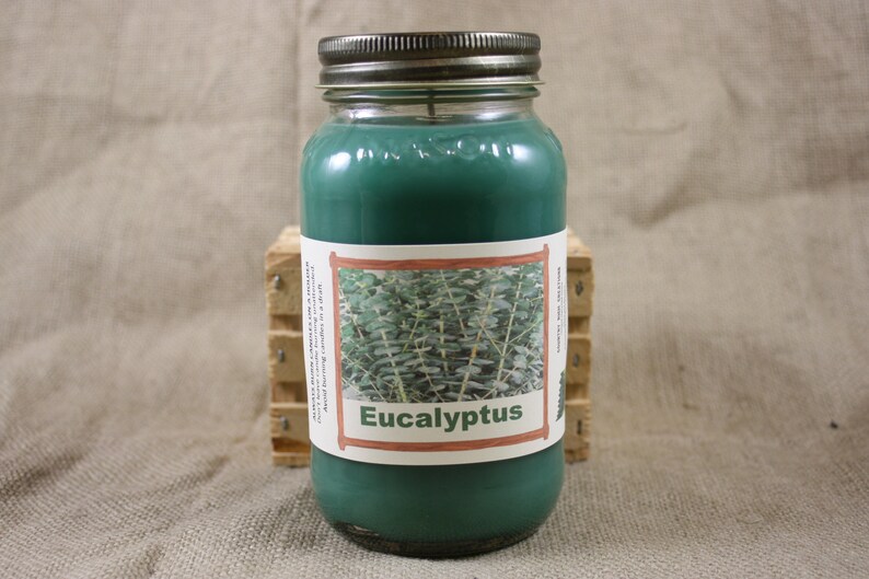 Eucalyptus Scent Candles and Wax Melts Herb Scented Candle Etsy