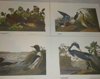 Northwest Mutual Audubon Bird 4 Print Set, Key West Quail-Dove, Shoveller, American Merganser,  Louisiana Heron Plastic Sealed!