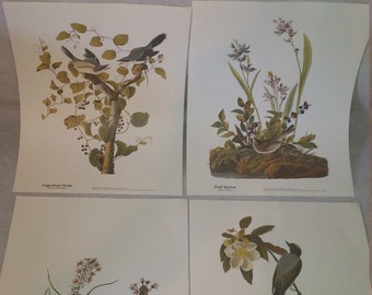 Northwest Mutual Audubon Bird 4 Print Set, Grasshopper Sparrow, Fork-tailed Flycatcher, Loggerhead Shrike, Field Sparrow, Plastic Sealed!
