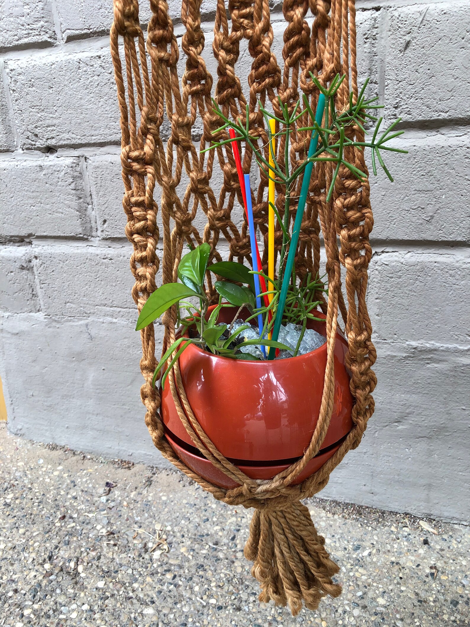 Vintage 70s Large Macrame Plant Hanger with Driftwood Top Etsy