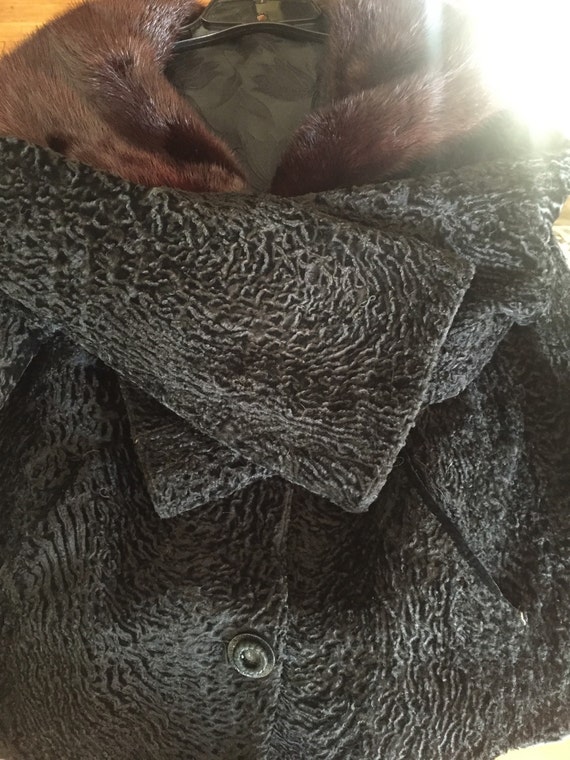 Black Curly Lamb with Fur Collar - image 1