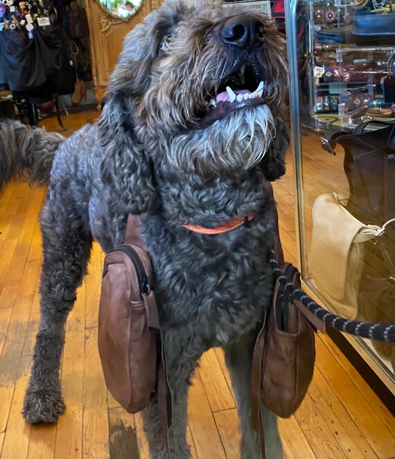 Authentic Vintage Brown Leather Dog Packs or Saddle Bags Etsy Canada
