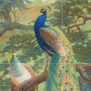 Tile Mural/Mosaic Ceramic Panel of Indian Peafowl - Charles Robert Knight - Bird Wall Art Decor - Peacock Mural - Gloss Tiles - Tile Mosaic
