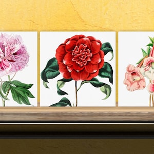 Vintage Botanical Print Ceramic Tiles - Set of 3 Ceramic Decor Tiles - Kitchen Backsplash Tiles, Bathroom Tiles, Botanical wall art