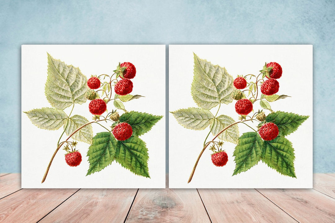 Fruit Tiles Raspberries Tile Fruits Design Two 6 X 6 Inches Etsy UK