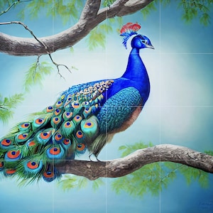 Tile Mural/Mosaic Ceramic Panel of Peacock - Bird Wall Art Home Decor - Peacock Mural - Gloss Tiles - Peacock Tile Mosaic - Bird Print