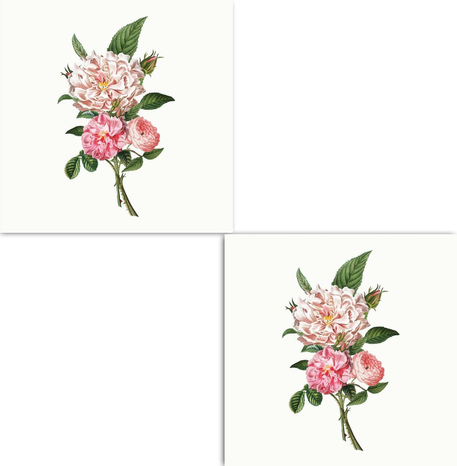 Floral Design Tile Pink Peonies Flower Two 6 X 6 Inches - Etsy