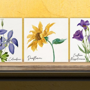 Vintage Botanical Print Ceramic Tiles - Set of 3 Ceramic Decor Tiles - Kitchen Backsplash Tiles, Bathroom Tiles, Botanical wall art
