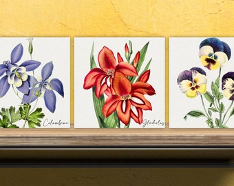 Vintage Botanical Print Ceramic Tiles - Set of 3 Ceramic Decor Tiles - Kitchen Backsplash Tiles, Bathroom Tiles, Botanical wall art
