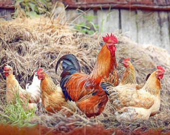 Tile Mural/Mosaic Ceramic Panel of a Rooster and Hen - Countryside Mural - Wall Art - Rooster Mural - Tile Mural - Gloss Tiles - Tile Mosaic